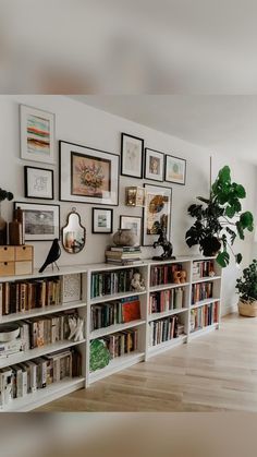 there are many bookshelves in this room with pictures on the wall above them