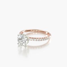 14K Rose Gold Hidden Halo Pavé Engagement Ring. Hidden Halo/Pave Oval Engagement Ring Rose Gold, Engagement Ring Hidden Halo, Oval Engagement Ring, Engagement Ring Rose Gold, Engagement Sets, Oval Engagement, Pave Engagement Ring, Ring Rose Gold, Hidden Halo