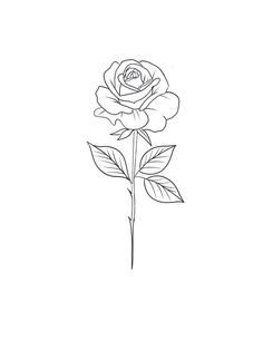 a drawing of a rose on a white background