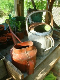 an old watering can sitting on top of a wooden table next to potted plants