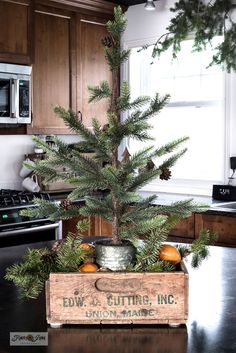 a small christmas tree in a wooden box on a kitchen counter with pine cones and oranges