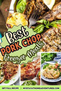 the best pork chop freezer meals