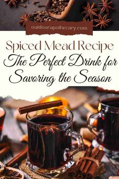 spiced meal recipe for the perfect drink for saving the season with cinnamons and cloves