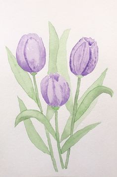 watercolor painting of three purple tulips with green leaves