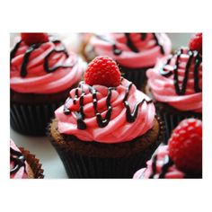 chocolate cupcakes with raspberry frosting and chocolate drizzle on top