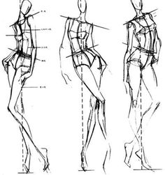 three sketches of female body shapes