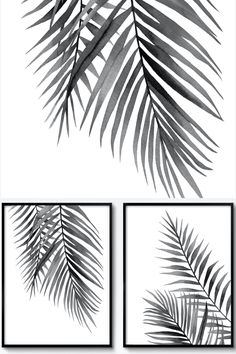 three black and white palm leaves on a white background