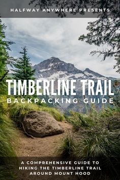 an image of a trail with the words timberline trail backpacking guide