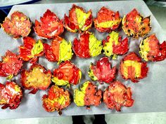 some red and yellow leaves are on a table