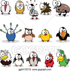 an image of many different birds