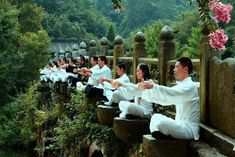 a group of people sitting on top of a stone wall next to trees and flowers