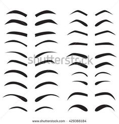 a set of different types of eyebrows