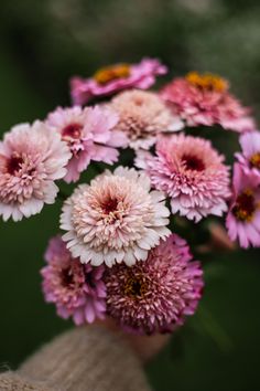 a person holding a bunch of pink flowers in their hand and looking at the camera