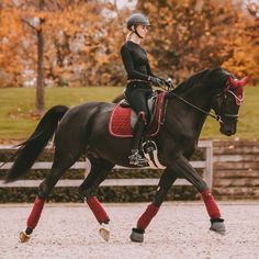 a woman riding on the back of a black horse in an arena with fall foliage