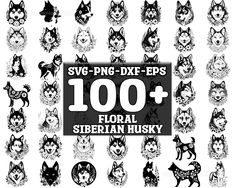 the 100 siberian husky dog heads are shown in black and white