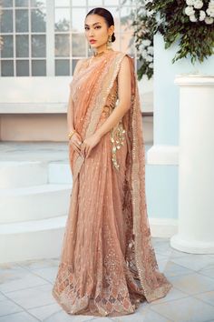 Pakistani Saree, Dupatta Lace, Peach Saree, Clothing Industry, Pakistani Wedding Dress, Chiffon Collection, Elegant Embroidery, Embroidered Organza, Net Saree