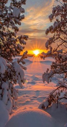 the sun is setting behind some snow covered trees