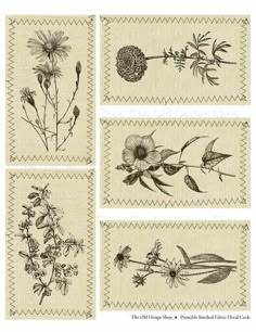 four different images of flowers and leaves on linens with stitched edges royalty illustration