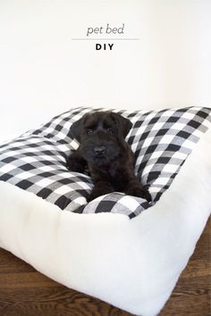 a black dog laying in a white and black checkered pet bed