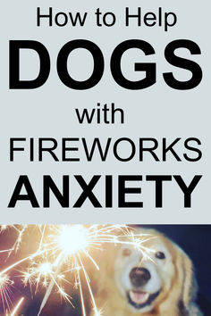 Golden Retriever next to fireworks Relaxation Tools, Dogs And Fireworks, Dog Games, Cute Dog Photos