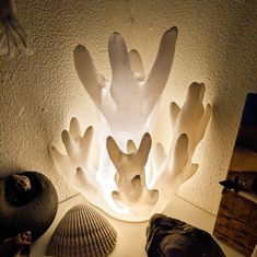 a lamp that is sitting on top of a table next to some shells and seashells