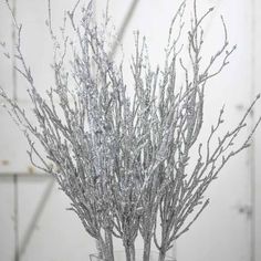 a vase filled with silver branches on top of a table