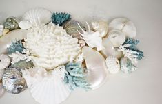 sea shells and corals are arranged on a white surface