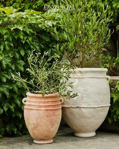 two large vases sitting next to each other in front of some plants and bushes