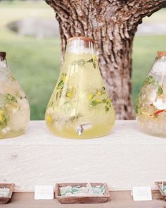 three vases filled with liquid sitting on top of a table next to a tree