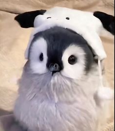 a small stuffed animal wearing a hat on top of it's head and eyes