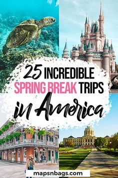 the words 25 incredible spring break trips in america with images of castles, castle and turtle