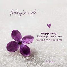 a purple flower with the words today's note keep praying divine proms are waiting to be filled