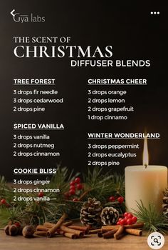 House Scents, Winter Diffuser Blends, Christmas Aromatherapy, Air Freshener Recipes, Essential Oil Spray Recipes, Wallpaper Thanksgiving, Nails Thanksgiving, Scent Blends