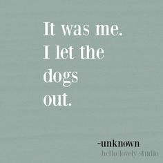 a quote that reads, it was me i let the dogs out unknown hello lovely studio