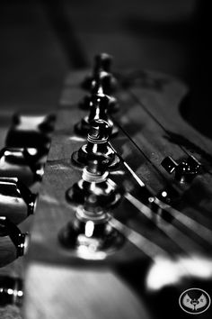 black and white photograph of an electric guitar neck with the frets highlighted in color