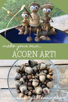 an image of acorn art made with rocks and shells in the shape of animals