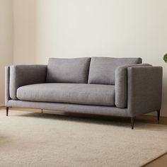 a gray couch sitting on top of a wooden floor next to a white rug and potted plant