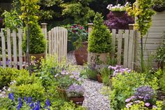 a garden filled with lots of different types of flowers