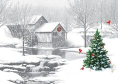 a snowy scene with a christmas tree in the foreground and a house on the other side