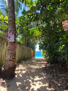 a sign is posted on the side of a fence next to a tree and beach