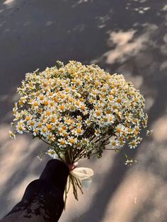 a person holding a bouquet of daisies in their hand