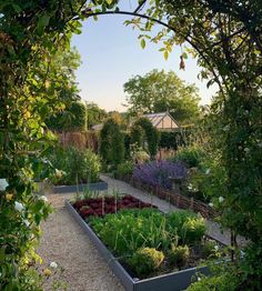 a garden filled with lots of different types of flowers and plants growing in the middle of it