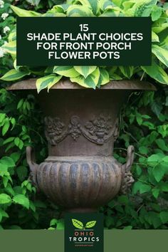 a planter with flowers in it and the words shade plant choices for front porch flower pots