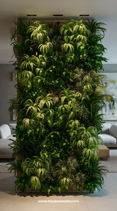 a living room filled with lots of green plants