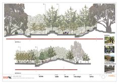 two diagrams showing the various stages of trees being planted in an area that has been divided by