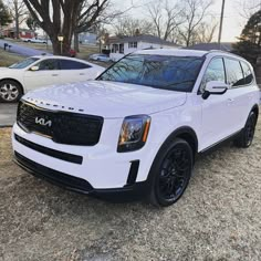 Kia Telluride white coloured car design White Suv, Beard Shapes, Kia Telluride, New Car Accessories, New Luxury Cars, Mom Car, Suv Cars, White Car, Classy Cars