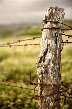 an old wooden post with barbed wire on it