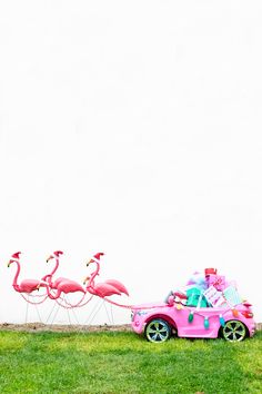 a pink car with flamingos attached to it is parked in front of a white wall