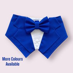 a dog wearing a blue bow tie and white shirt with the words more colours available