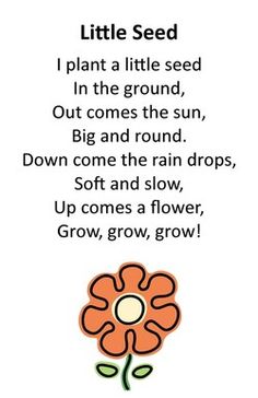 a poem written in the language of little seed with an image of a flower on it